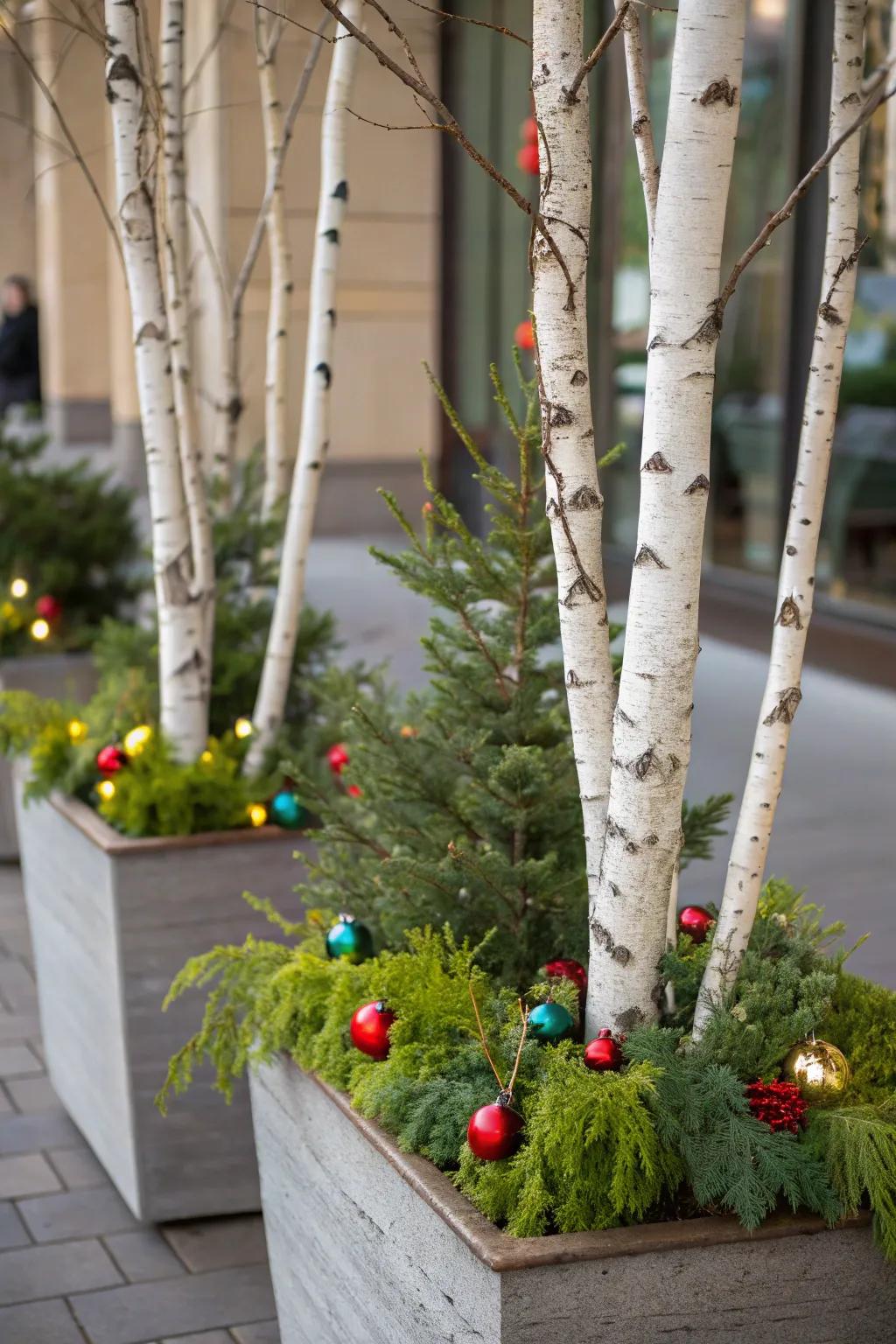 Branches and twigs heighten the drama and scale of your ornamentation.