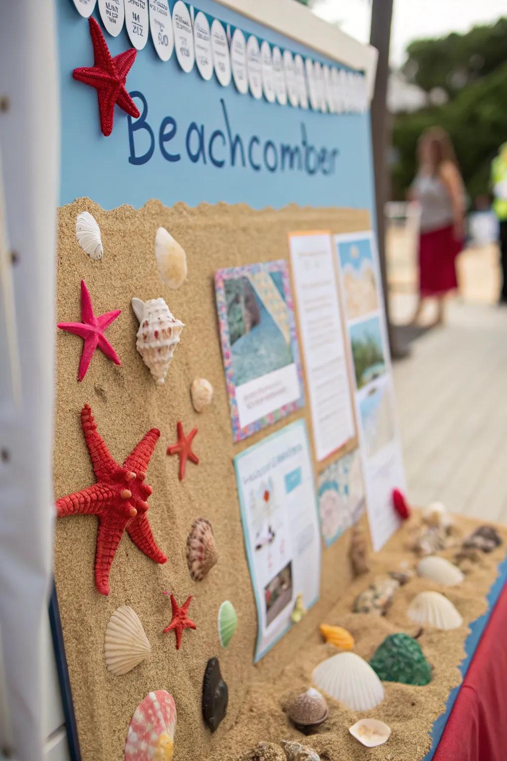 Beachcomber's Paradise bulletin board exhibiting shoreline treasures.