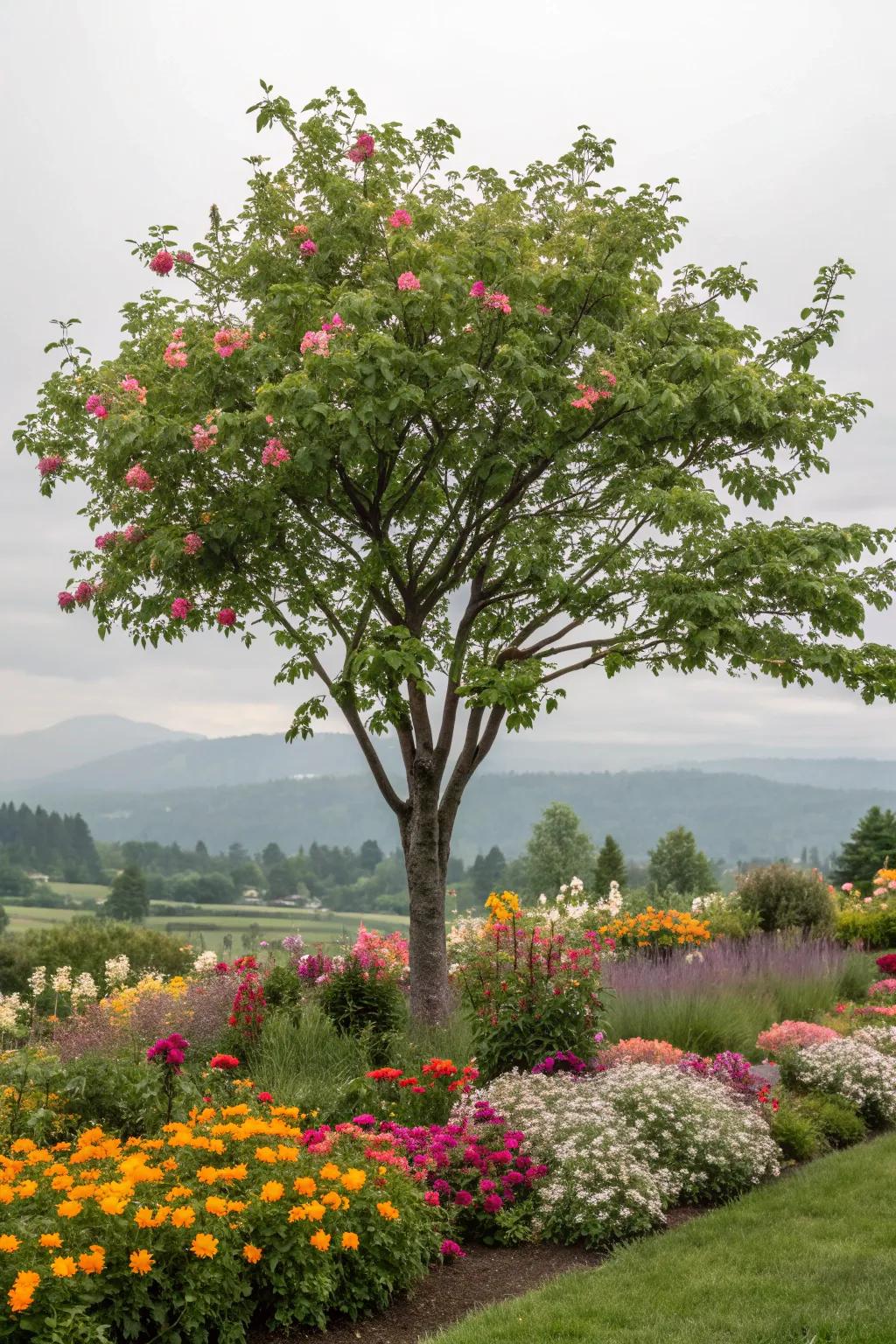 Perennials are low-maintenance and add long-lasting beauty to trees.
