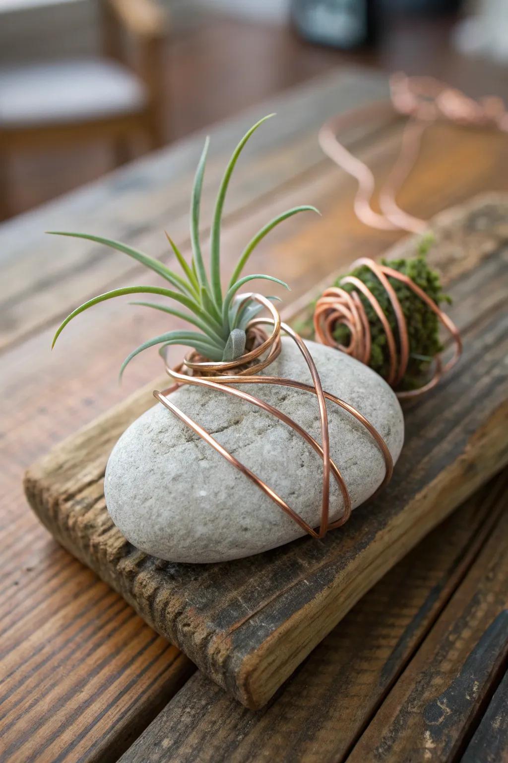 Stones and wire merge to form a distinctive and organic air plant container.