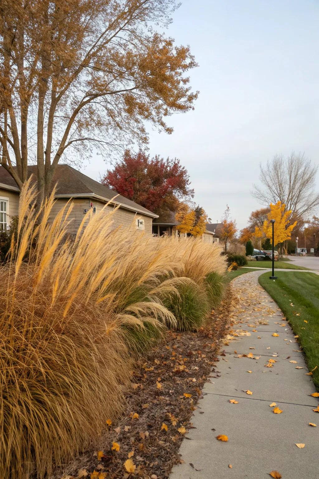 Intensify texture using ornamental grasses within your yard.