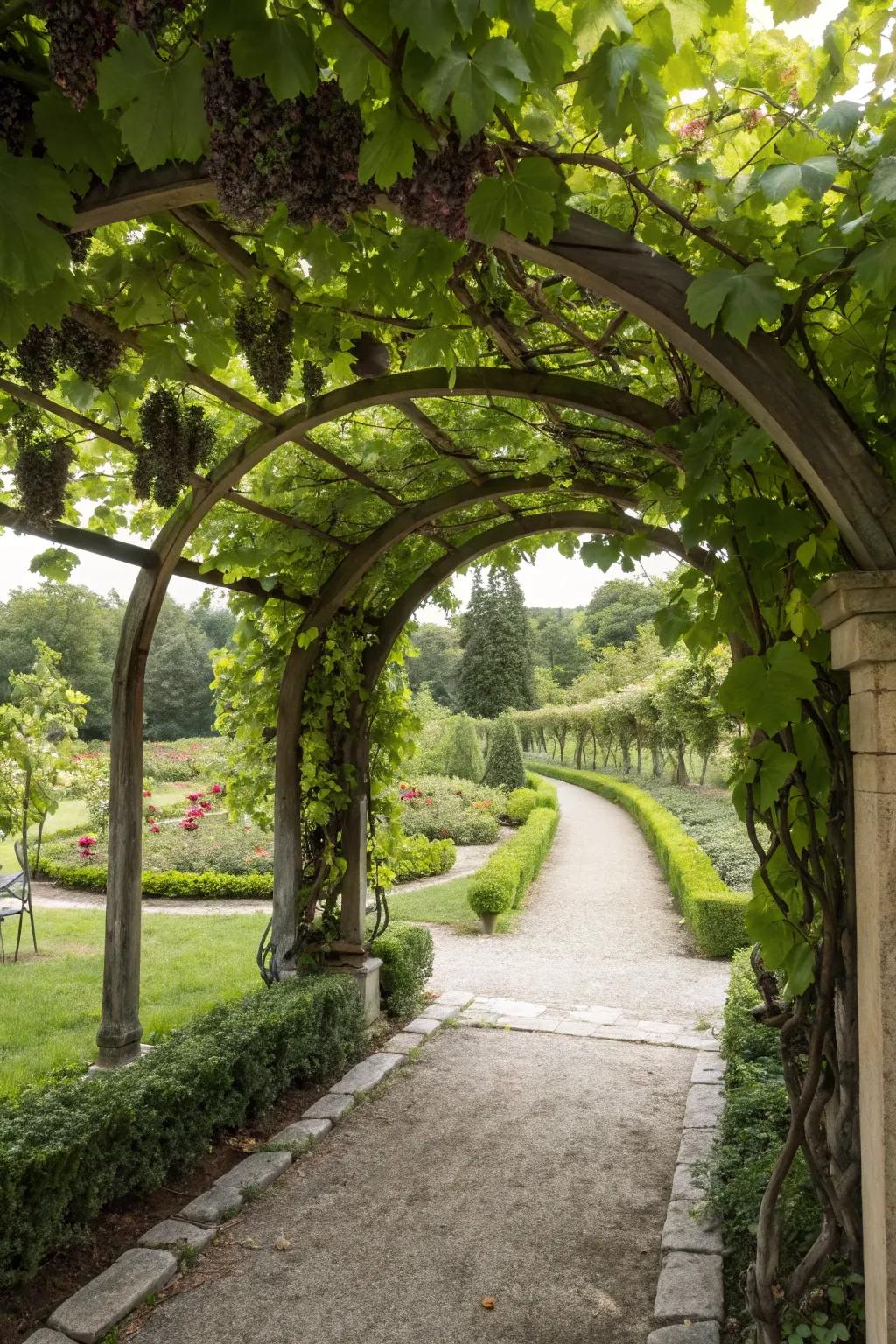 An elegant arched gateway that invites you into a lush garden space.
