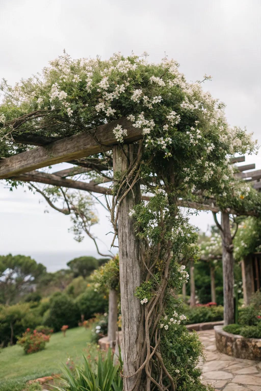 Embrace rustic allure with a branch-fashioned starflower support.
