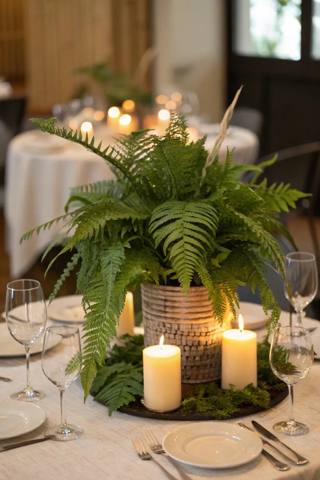 Elevate your dining experience with a stunning plant centerpiece.