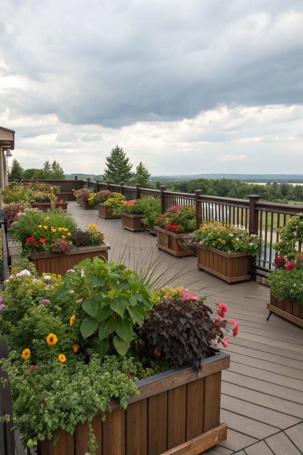 A deck transformed into a vibrant garden retreat, filled with lush greenery.