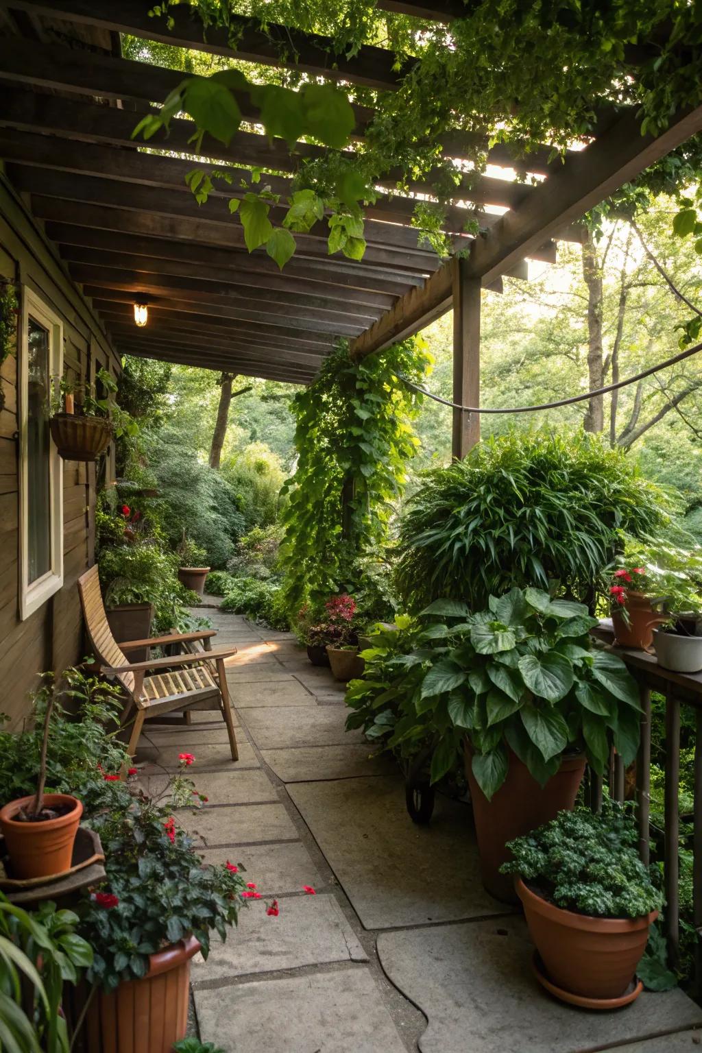 Bring nature under your deck.