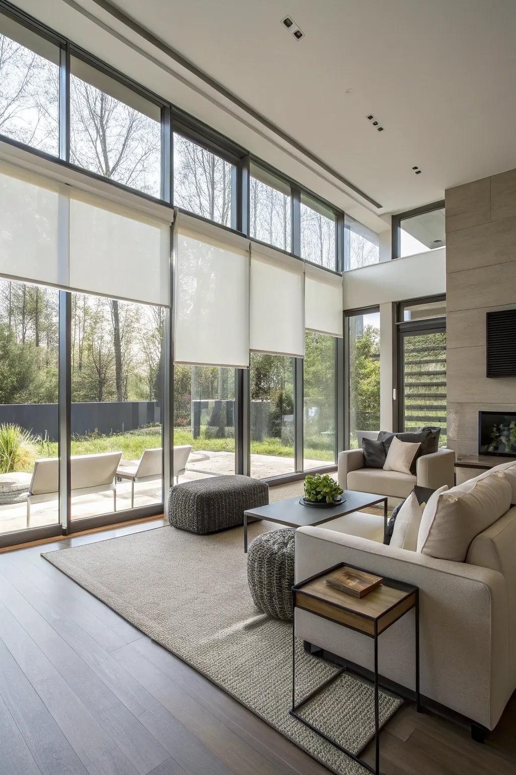 Roller shades are a smooth, simple privacy solution.