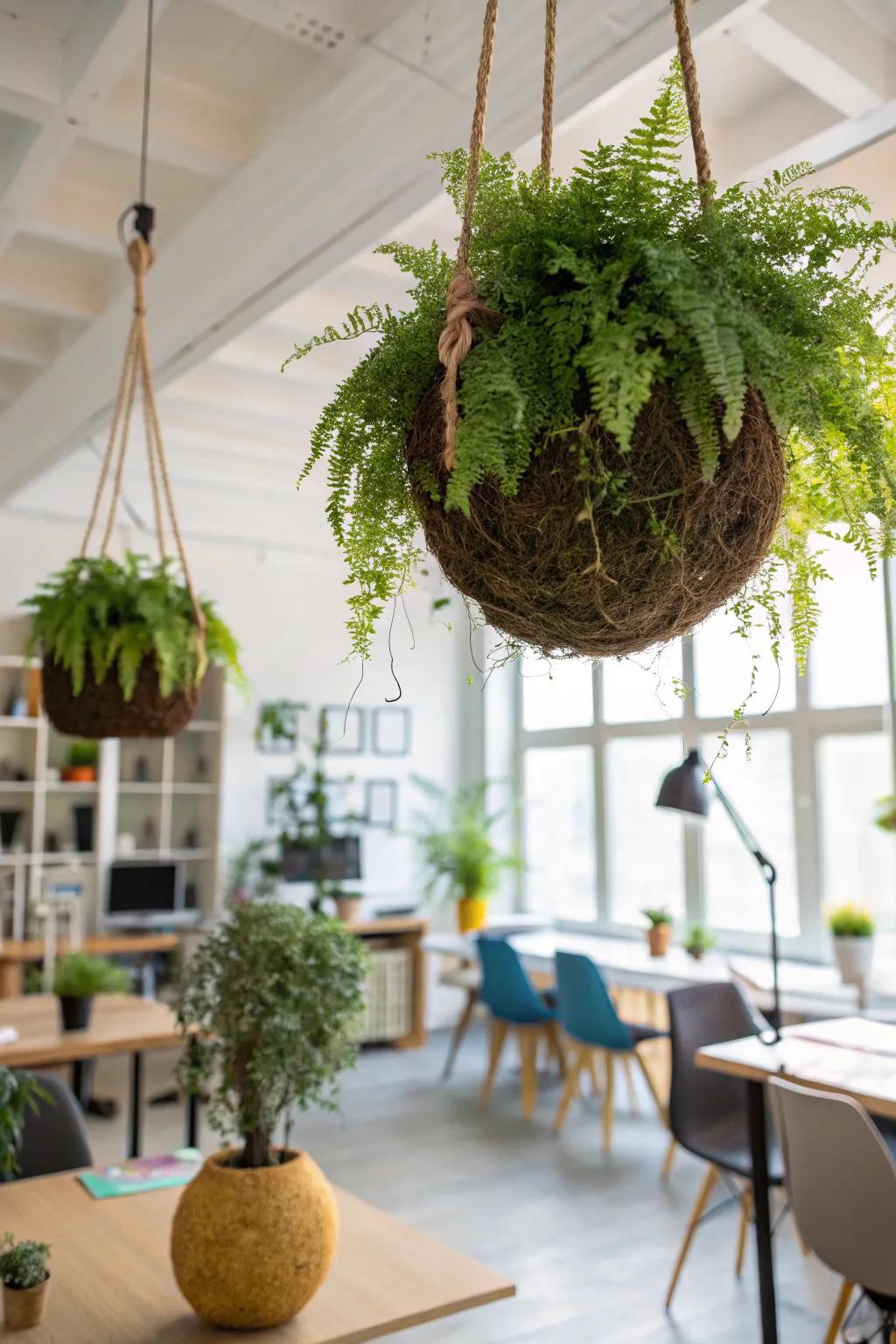Engage guests with suspended green moss orbs.