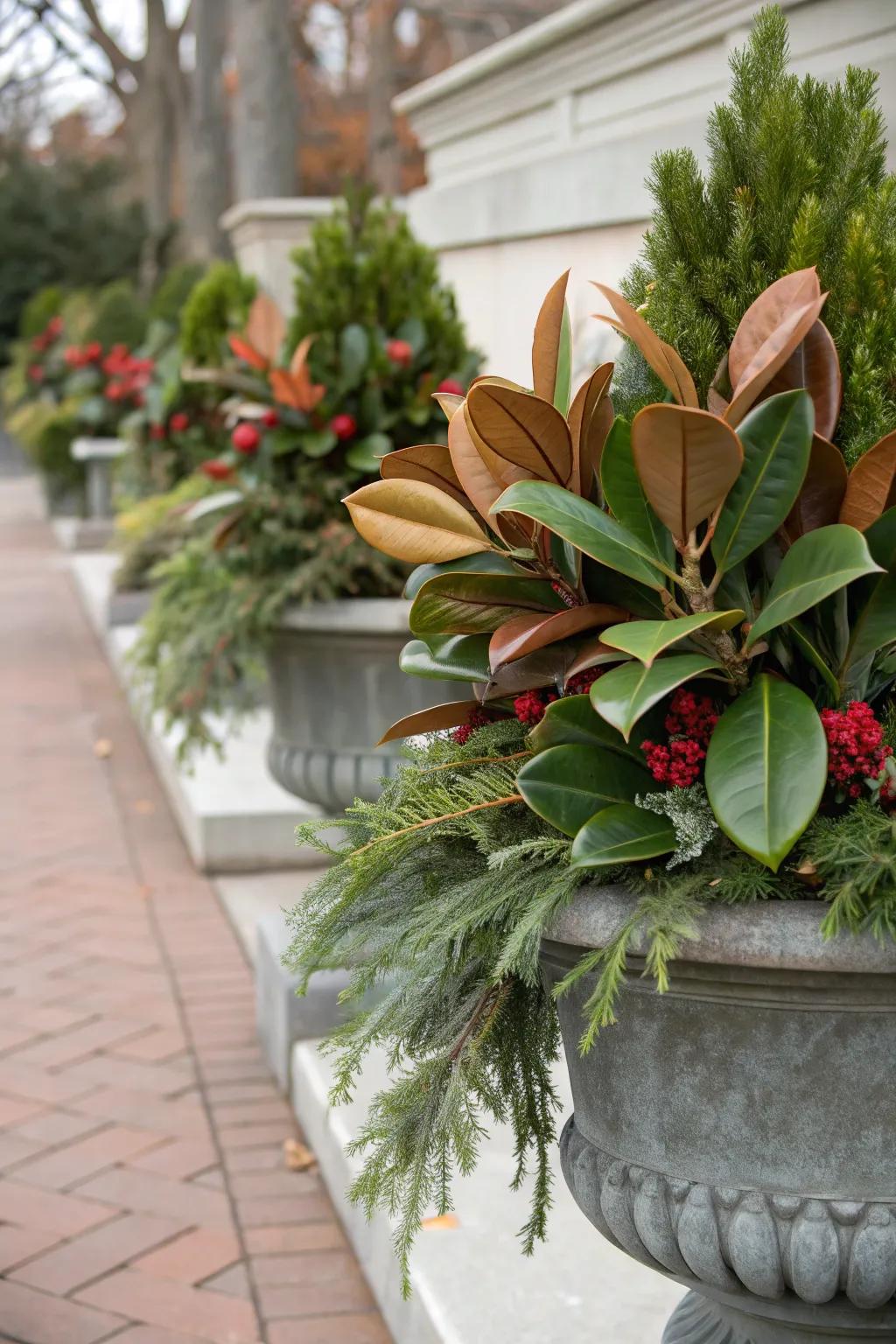 Magnolia foliage proposes a distinctive and elegant sophistication.