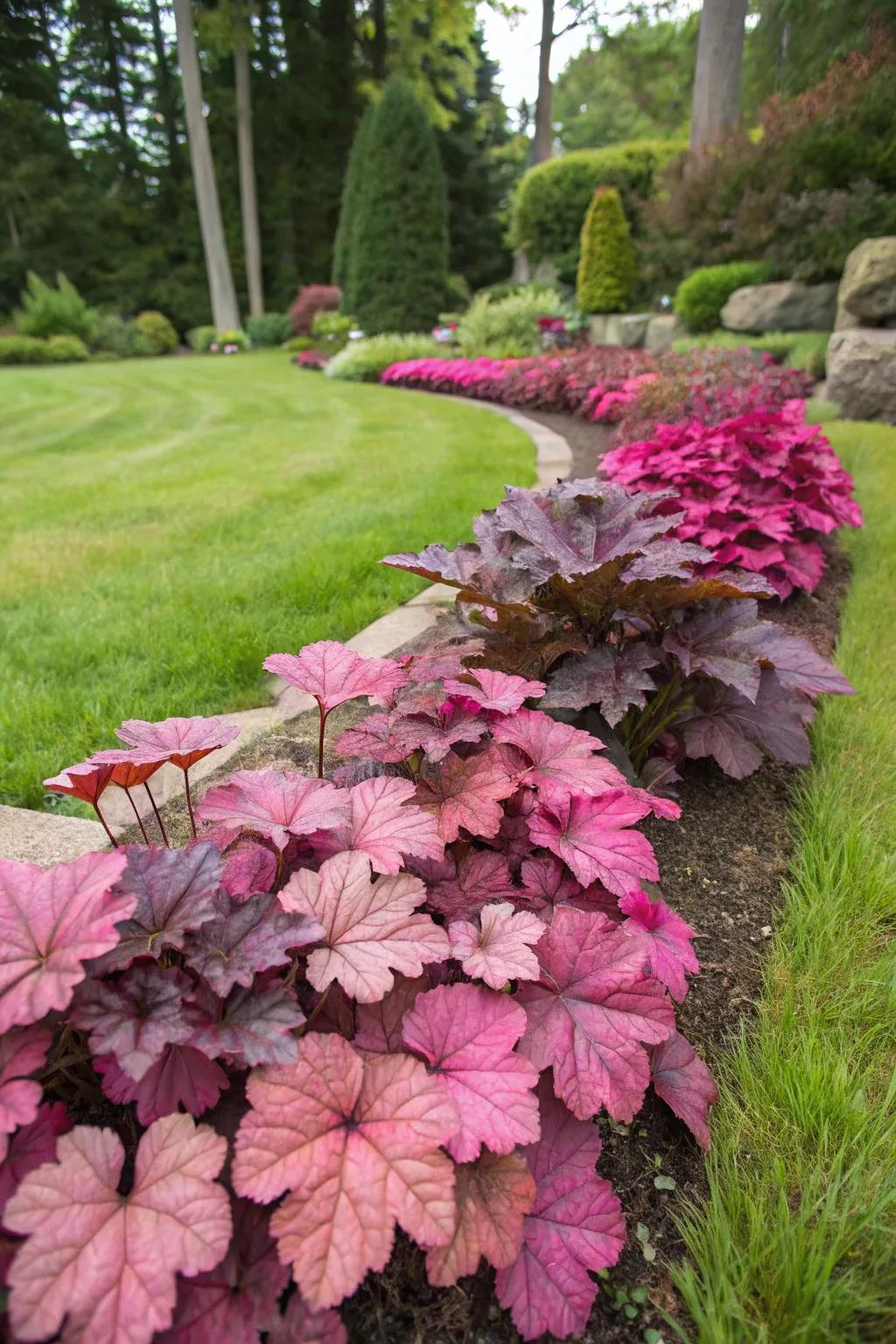 <strong><em>Kaleidoscope bells</em></strong> function beautifully as a ground cover in a garden bed.” loading=”lazy” class=”pimg”>
	</picture><figcaption><strong><em>Kaleidoscope bells</em></strong> function beautifully as a ground cover in a garden bed.</figcaption></figure>
<p>Utilize <strong><em>kaleidoscope bells</em></strong> as a vibrant ground cover within your garden beds. Their lush foliage helps reduce weed growth while dramatically improving visual appeal.</p>
<h3>A few things you might like:</h3>
<ul class=