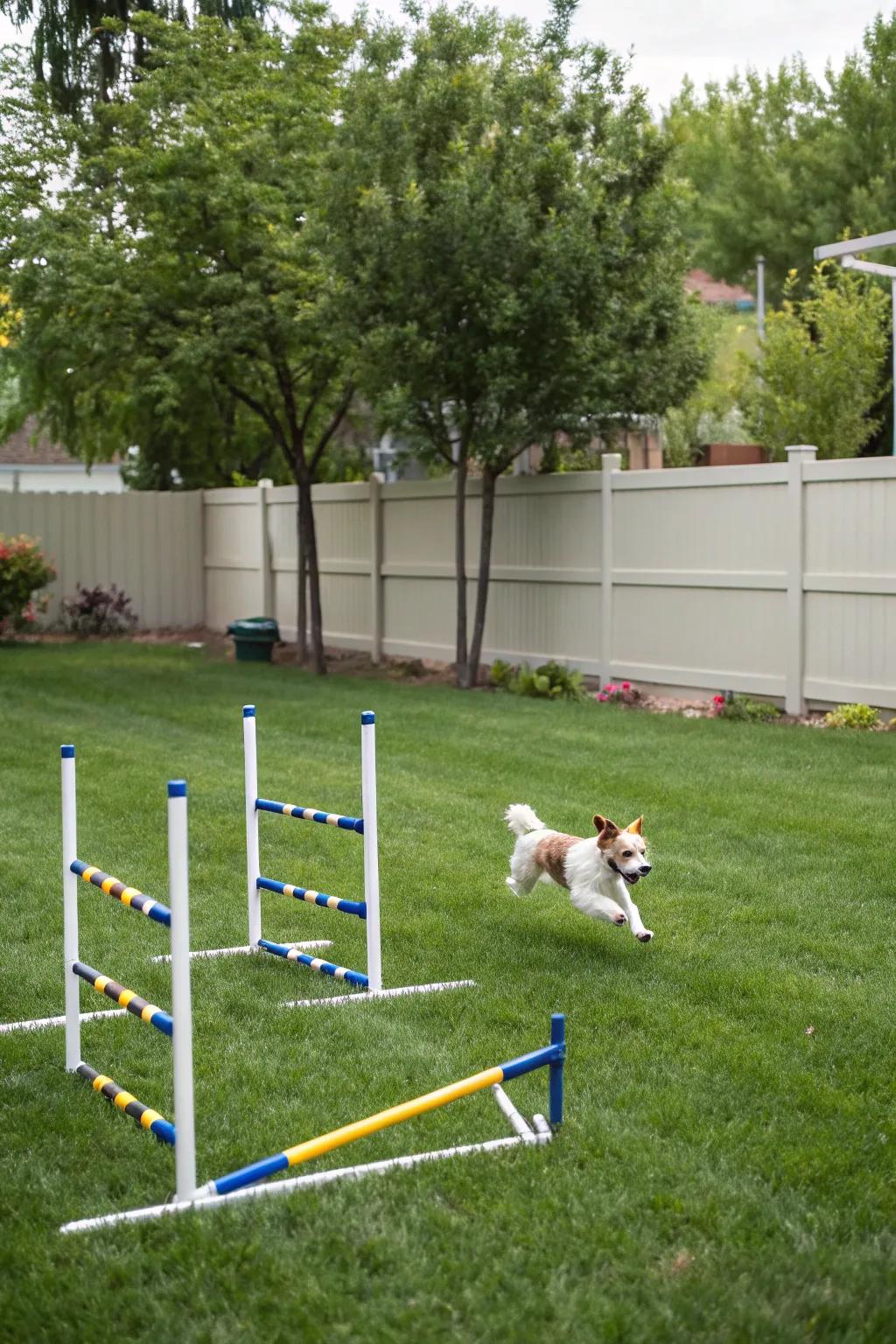Adaptable challenges provide boundless fun and exercise.