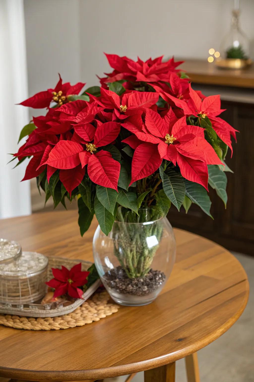 Elegant red floral arrangements for the holidays.