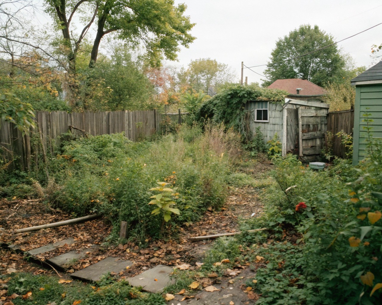 Maximize your garden's potential by working with the natural landscape and what you already have.