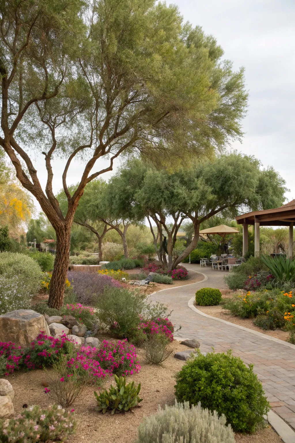 How to Make Your Landscape Drought-Tolerant